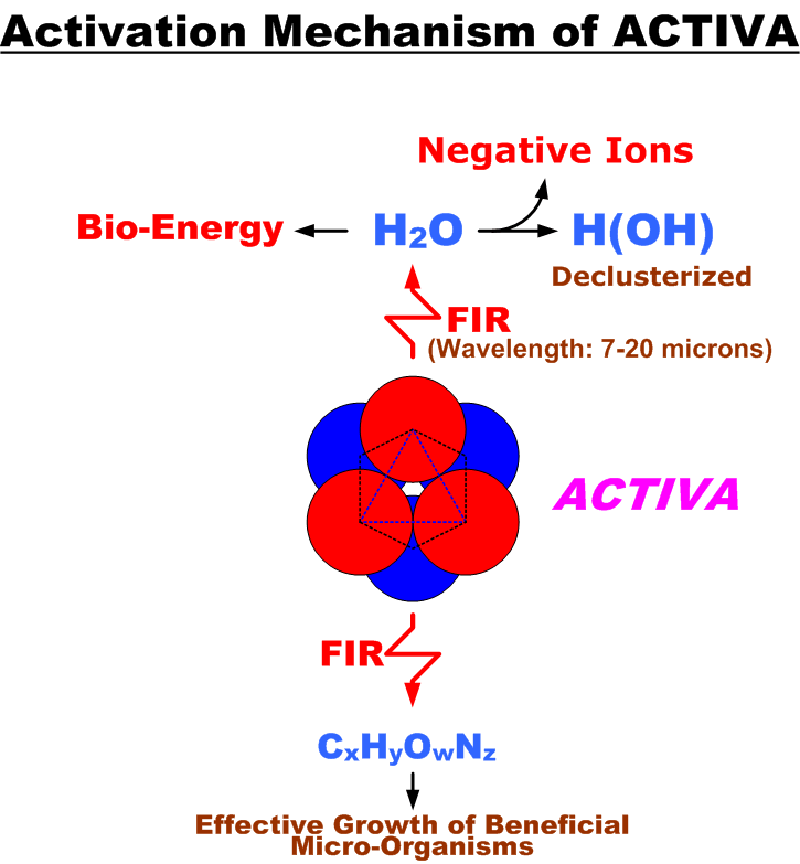 Activa Reaction Mechanism